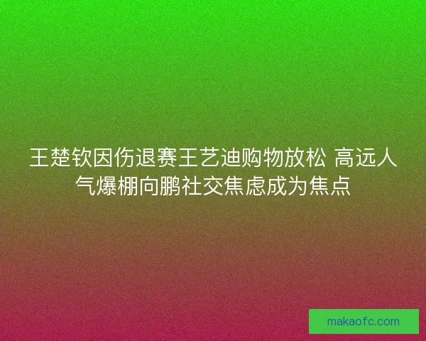 王楚钦因伤退赛王艺迪购物放松 高远人气爆棚向鹏社交焦虑成为焦点