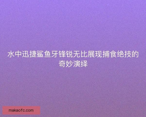 水中迅捷鲨鱼牙锋锐无比展现捕食绝技的奇妙演绎