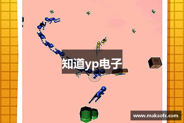 知道yp电子